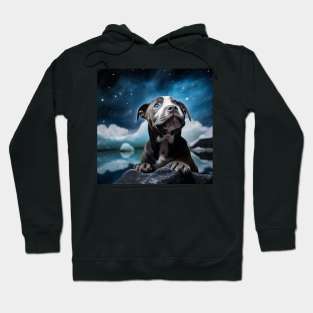 Wishy Staffy Hoodie